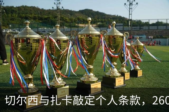 切尔西与扎卡敲定个人条款，2600万镑报价等待桑德兰放行