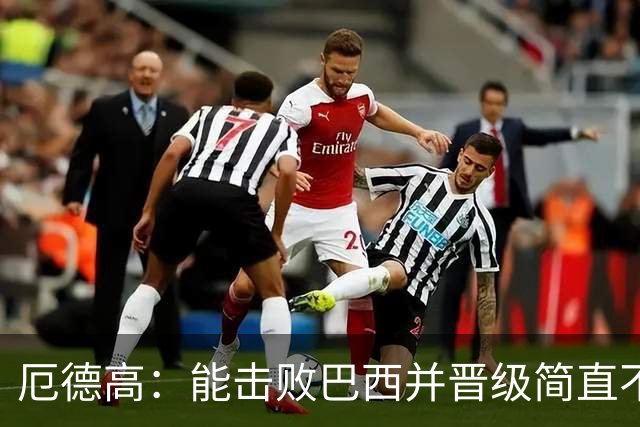 厄德高：能击败巴西并晋级简直不可思议 哈兰德总能制造威胁