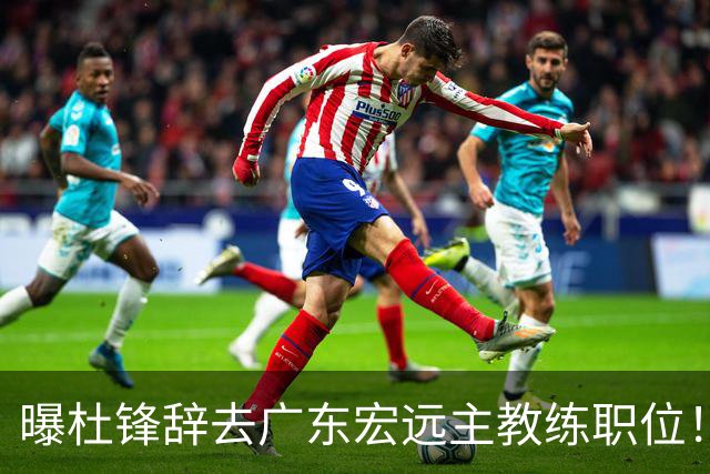 曝杜锋辞去广东宏远主教练职位！