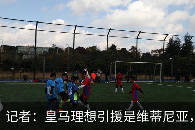 记者：皇马理想引援是维蒂尼亚，还有萨利巴、麦卡利斯特、哈兰德