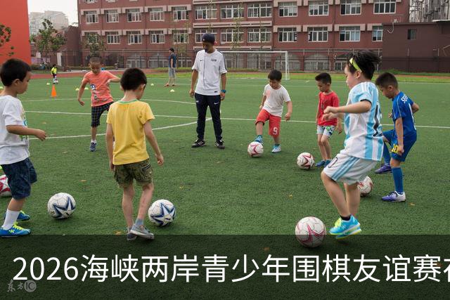 2026海峡两岸青少年围棋友谊赛在厦门开幕